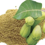 Terminalia Chebula Fruit Extract | What Is Terminalia Chebula Used For | Chebula.Net